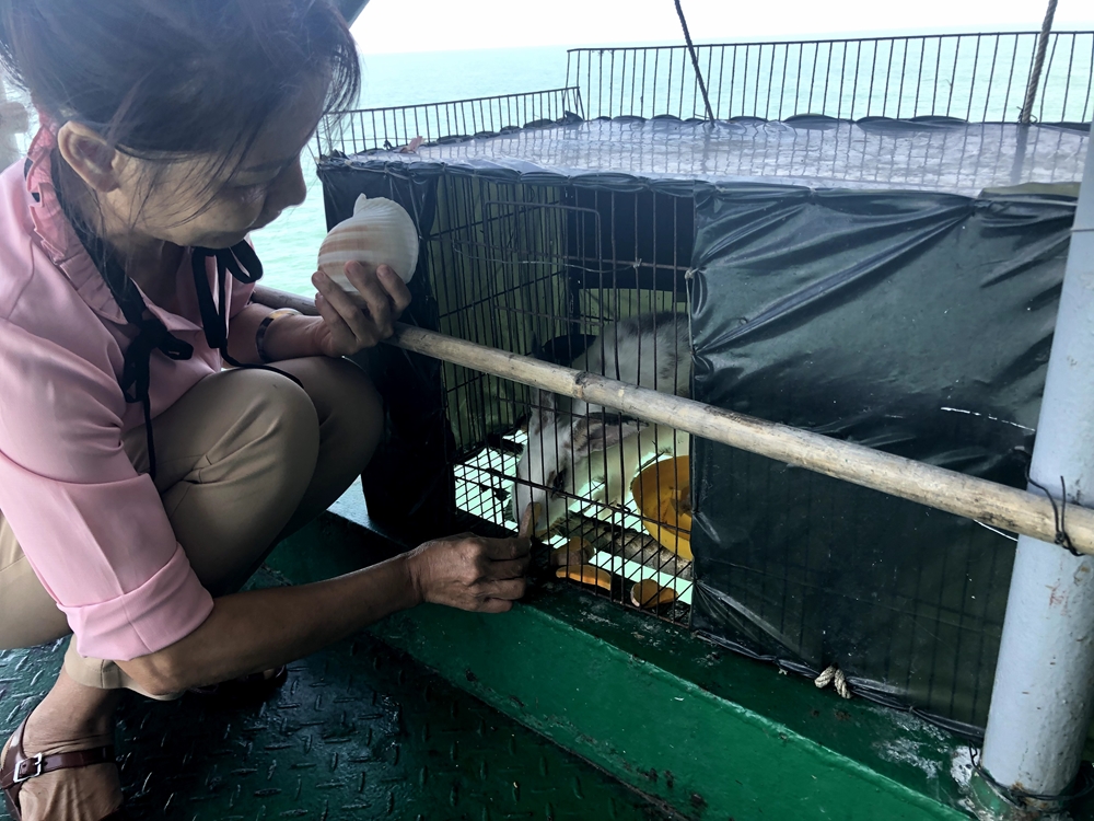 Trên các nhà giàn DK1 hiện nay, ngoài việc được bảo đảm đầy đủ lương thực, thực phẩm, bộ đội còn tự nuôi chim cảnh, gà, thỏ…